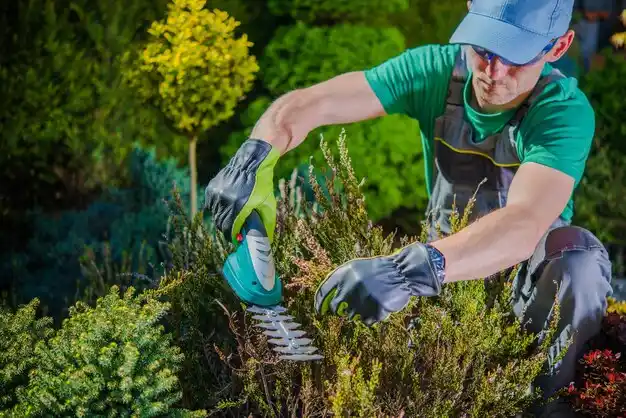 landscaping services Atkinson
